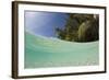 Lagoon and Palm-Lined Beach, Micronesia, Palau-Reinhard Dirscherl-Framed Photographic Print