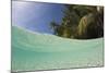 Lagoon and Palm-Lined Beach, Micronesia, Palau-Reinhard Dirscherl-Mounted Photographic Print