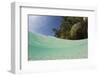 Lagoon and Palm-Lined Beach, Micronesia, Palau-Reinhard Dirscherl-Framed Photographic Print