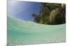 Lagoon and Palm-Lined Beach, Micronesia, Palau-Reinhard Dirscherl-Mounted Photographic Print