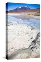 Lagoon at the Altiplano, Bolivia-piksel-Stretched Canvas