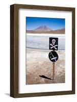 Lagoon at the Altiplano, Bolivia-piksel-Framed Photographic Print