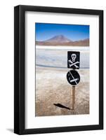 Lagoon at the Altiplano, Bolivia-piksel-Framed Photographic Print