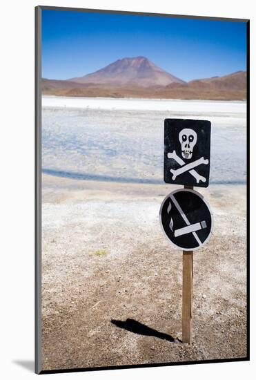 Lagoon at the Altiplano, Bolivia-piksel-Mounted Photographic Print