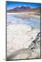 Lagoon at the Altiplano, Bolivia-piksel-Mounted Photographic Print