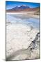 Lagoon at the Altiplano, Bolivia-piksel-Mounted Photographic Print