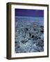 Lagoon, Bora Bora-Ron Whitby Photography-Framed Photographic Print