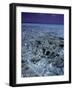 Lagoon, Bora Bora-Ron Whitby Photography-Framed Photographic Print