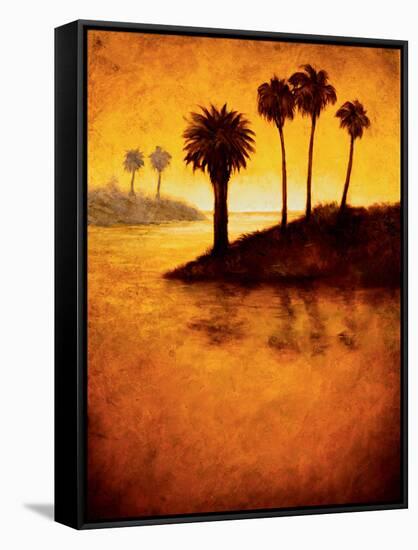 Lagoon I-Gregory Williams-Framed Stretched Canvas