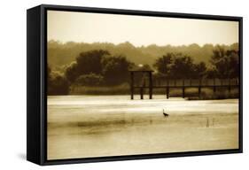 Lagoon II-Alan Hausenflock-Framed Stretched Canvas