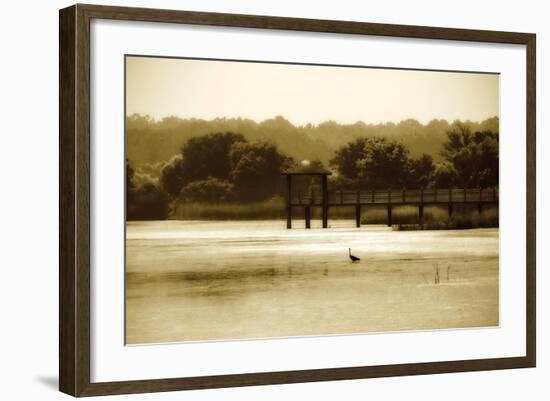 Lagoon II-Alan Hausenflock-Framed Photographic Print