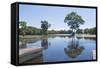 Lagoon in Front of Pousada Rio Mutum, Mato Grosso, Brazil-Guido Cozzi-Framed Stretched Canvas