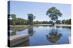 Lagoon in Front of Pousada Rio Mutum, Mato Grosso, Brazil-Guido Cozzi-Stretched Canvas