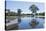 Lagoon in Front of Pousada Rio Mutum, Mato Grosso, Brazil-Guido Cozzi-Stretched Canvas