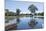 Lagoon in Front of Pousada Rio Mutum, Mato Grosso, Brazil-Guido Cozzi-Mounted Photographic Print