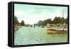 Lagoon. Lincoln Park, Chicago, Illinois-null-Framed Stretched Canvas