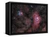 Lagoon Nebula and Trifid Nebula in Sagittarius-null-Framed Stretched Canvas