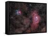 Lagoon Nebula and Trifid Nebula in Sagittarius-null-Framed Stretched Canvas