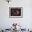 Lagoon Nebula and Trifid Nebula in Sagittarius-null-Framed Photographic Print displayed on a wall