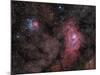 Lagoon Nebula and Trifid Nebula in Sagittarius-null-Mounted Photographic Print