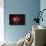 Lagoon Nebula-Stocktrek-Photographic Print displayed on a wall