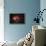 Lagoon Nebula-Stocktrek-Framed Photographic Print displayed on a wall