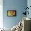 Lagoon Nebula-Art Deco Designs-Framed Stretched Canvas displayed on a wall