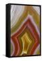 Laguna Agate, Mexico-Darrell Gulin-Framed Stretched Canvas