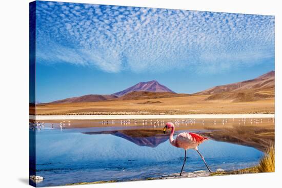 Laguna at the Ruta De Las Joyas Altoandinas in Bolivia with Pink Flamingo Walking through the Scene-mezzotint-Stretched Canvas