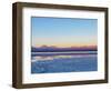 Laguna Baltinache at sunset, Salar de Atacama, Antofagasta Region, Chile, South America-Karol Kozlowski-Framed Photographic Print