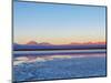 Laguna Baltinache at sunset, Salar de Atacama, Antofagasta Region, Chile, South America-Karol Kozlowski-Mounted Photographic Print