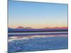 Laguna Baltinache at sunset, Salar de Atacama, Antofagasta Region, Chile, South America-Karol Kozlowski-Mounted Photographic Print