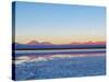 Laguna Baltinache at sunset, Salar de Atacama, Antofagasta Region, Chile, South America-Karol Kozlowski-Stretched Canvas