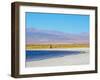 Laguna Baltinache, Salar de Atacama, Antofagasta Region, Chile, South America-Karol Kozlowski-Framed Photographic Print