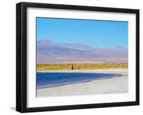 Laguna Baltinache, Salar de Atacama, Antofagasta Region, Chile, South America-Karol Kozlowski-Framed Photographic Print