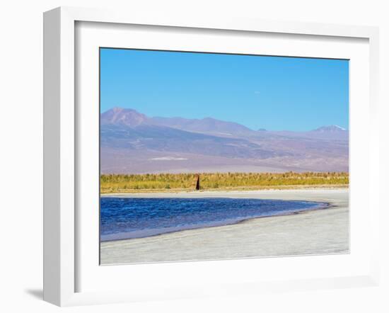 Laguna Baltinache, Salar de Atacama, Antofagasta Region, Chile, South America-Karol Kozlowski-Framed Photographic Print