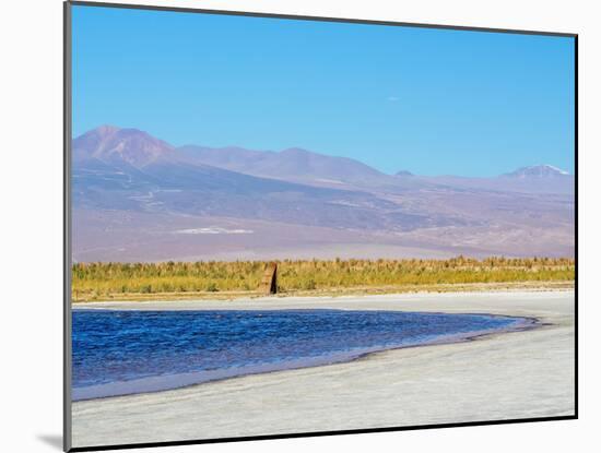 Laguna Baltinache, Salar de Atacama, Antofagasta Region, Chile, South America-Karol Kozlowski-Mounted Photographic Print