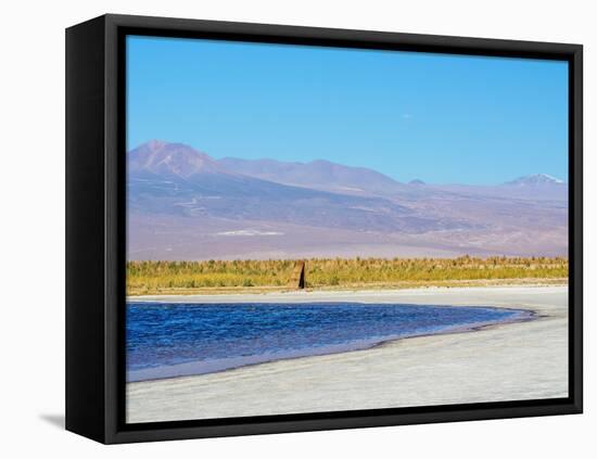 Laguna Baltinache, Salar de Atacama, Antofagasta Region, Chile, South America-Karol Kozlowski-Framed Stretched Canvas