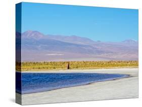 Laguna Baltinache, Salar de Atacama, Antofagasta Region, Chile, South America-Karol Kozlowski-Stretched Canvas