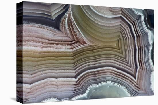 Laguna Banded Agate, Quartzsite, AZ-Darrell Gulin-Stretched Canvas