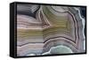 Laguna Banded Agate, Quartzsite, AZ-Darrell Gulin-Framed Stretched Canvas