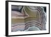 Laguna Banded Agate, Quartzsite, AZ-Darrell Gulin-Framed Photographic Print