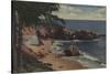 Laguna Beach, CA - Sheltered Cove on Coast-Lantern Press-Stretched Canvas