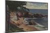 Laguna Beach, CA - Sheltered Cove on Coast-Lantern Press-Mounted Art Print