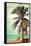 Laguna Beach, California - Lifeguard Shack and Palm-Lantern Press-Framed Stretched Canvas