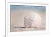 Laguna Beach, California - Sand Dollar and Beach-Lantern Press-Framed Premium Giclee Print