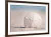 Laguna Beach, California - Sand Dollar and Beach-Lantern Press-Framed Premium Giclee Print