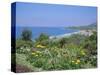 Laguna Beach, California, USA-Geoff Renner-Stretched Canvas