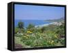 Laguna Beach, California, USA-Geoff Renner-Framed Stretched Canvas