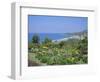 Laguna Beach, California, USA-Geoff Renner-Framed Photographic Print